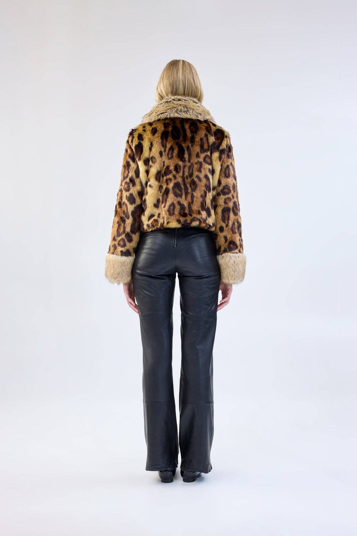 Hidden Tiger Jacket: Leopard