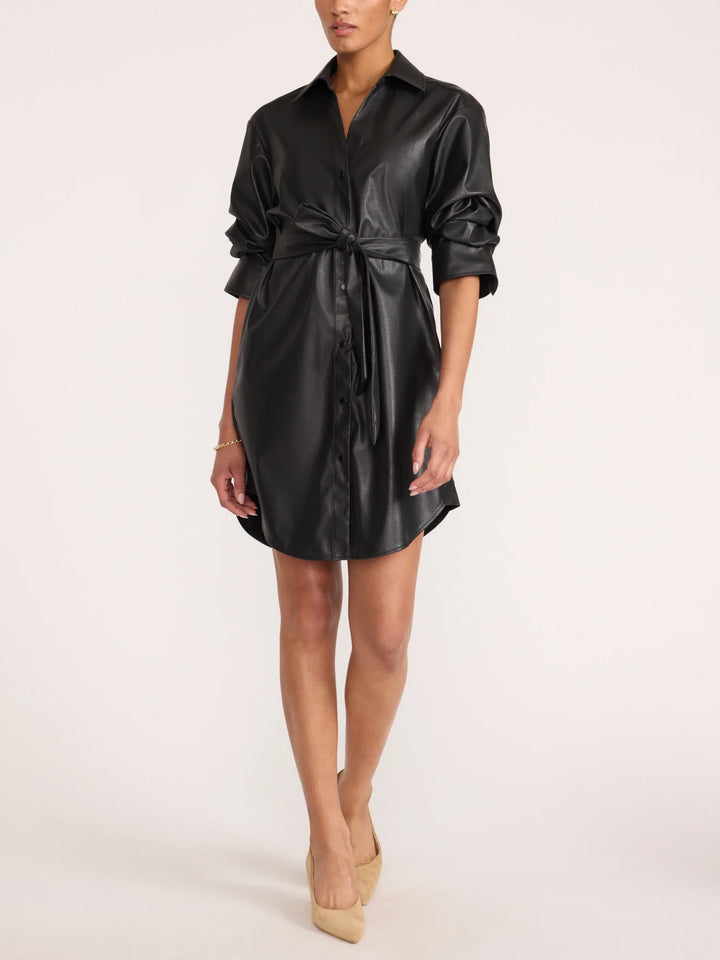 The Pia Vegan Leather Dress in Black Onyx