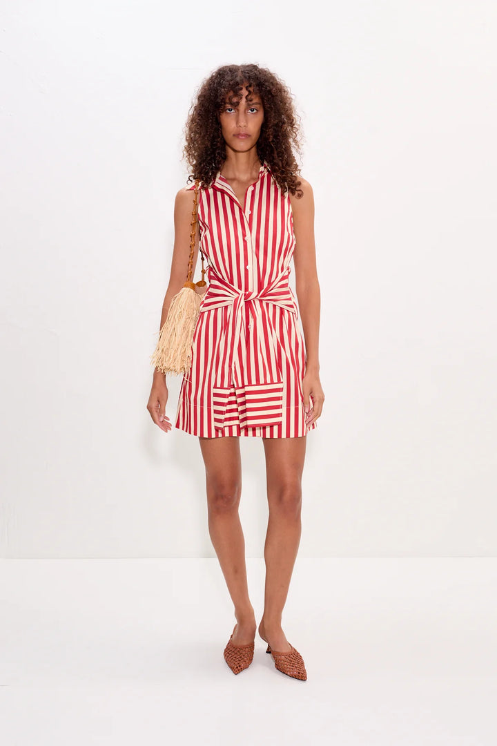 inna sleeveless poplin mini dress