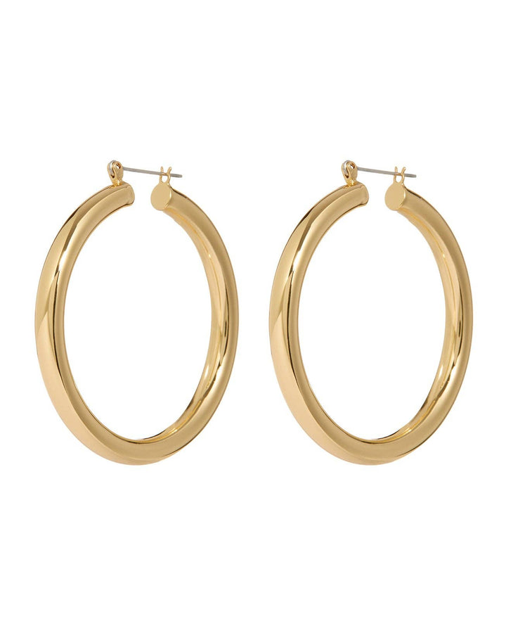 Amalfi Tube Hoops - Gold: Gold - obligato