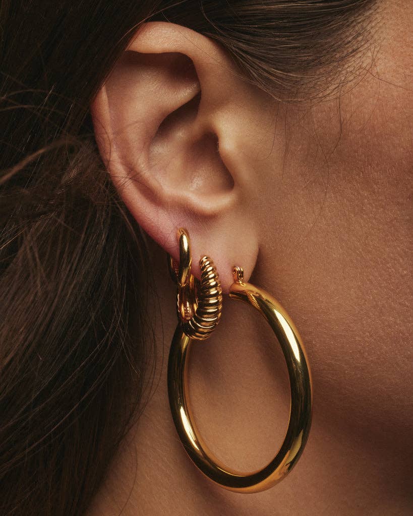 Amalfi Tube Hoops - Gold: Gold - obligato