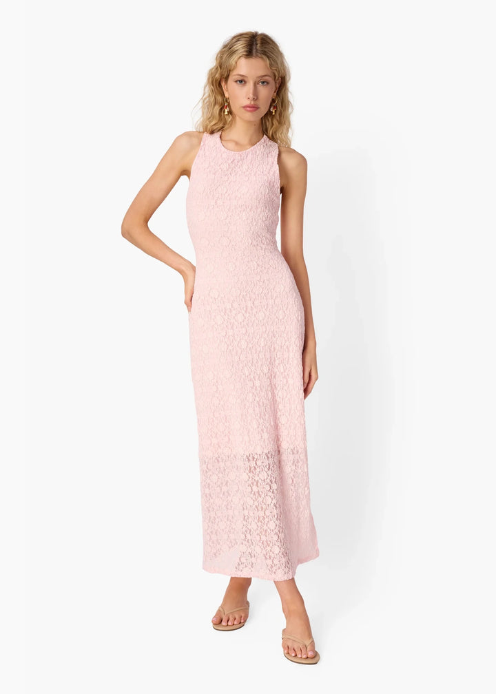 Anison Stretch Lace Dress in Dogwood - obligato