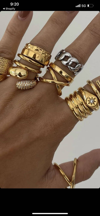 Anna Ring: 6 - obligato