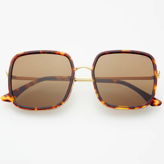 Cosmo Acetate Womens Square Sunglasses: Dark Tortoise - obligato