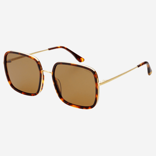 Cosmo Acetate Womens Square Sunglasses: Dark Tortoise - obligato