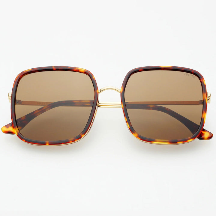 Cosmo Large Oversized Square sunglasses in Dark Tortoise - obligato