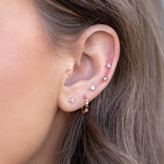 Dainty Brilliance Studs: Gold - obligato