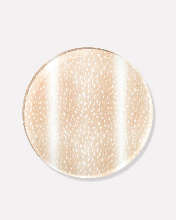 Fawn Print Coaster: Boxed Set of 4 - obligato