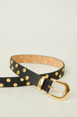 Juniper Studded Black Belt - obligato