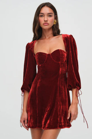 Nadine Velvet Mini Dress - obligato