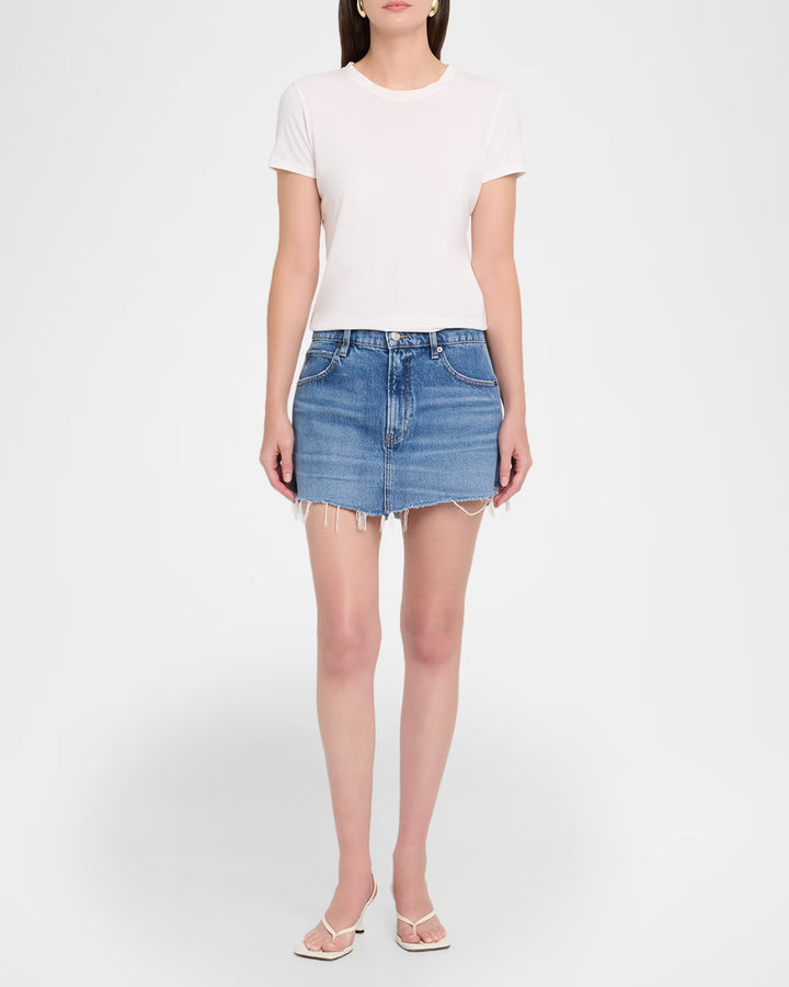 The Mini Skirt