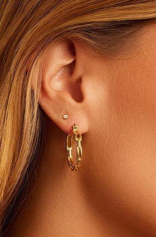 Parker Link Hoops - obligato