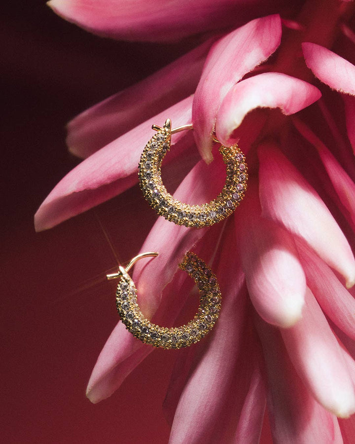 Pave Amalfi Huggies - Gold (Ships Mid August) - obligato