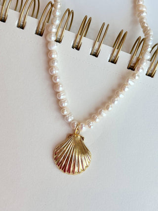 Pearl Necklace with Seashell Charm - obligato