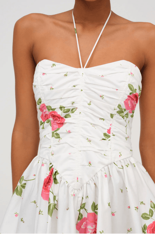 Rosebud Corset Mini Dress - obligato