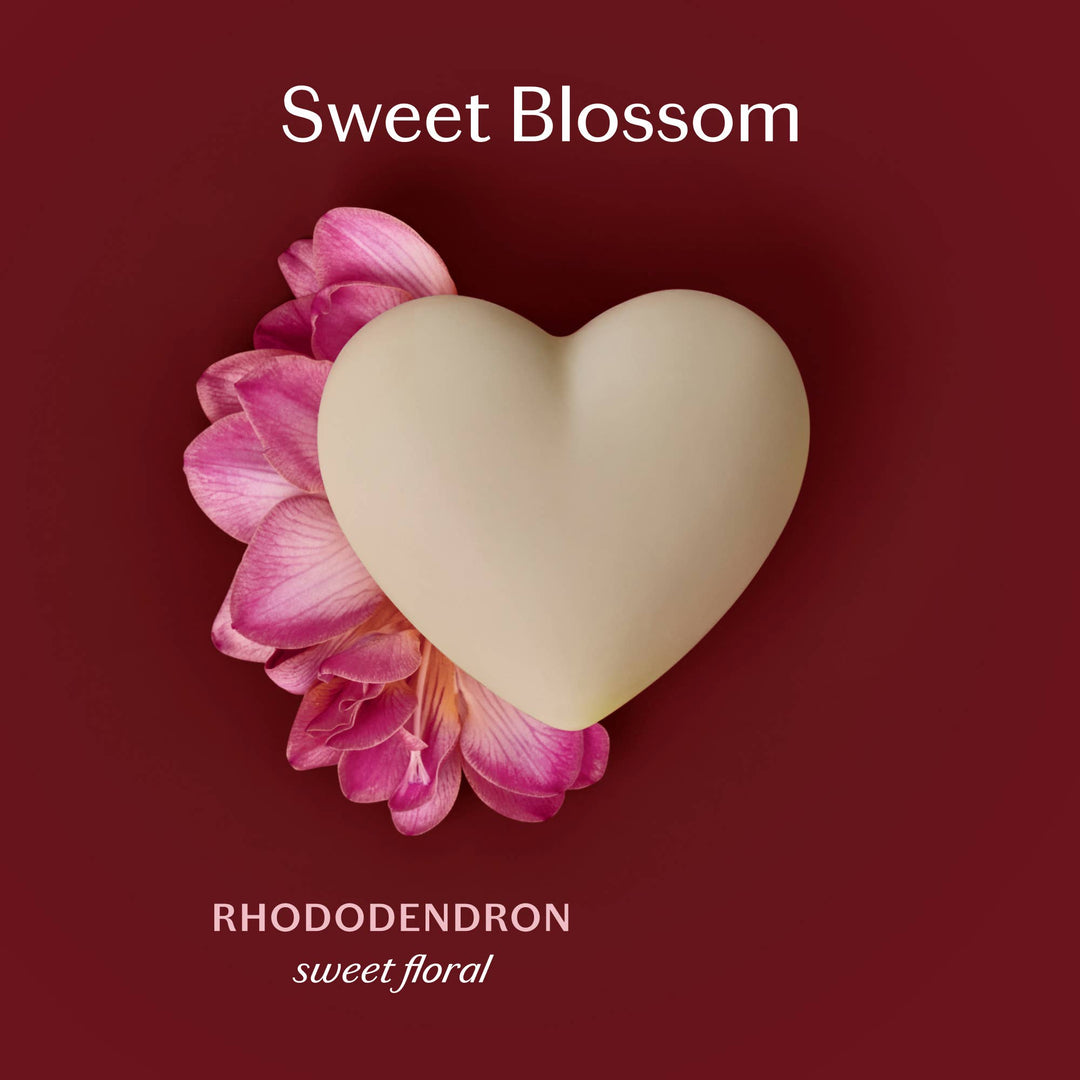 Sweet Blossom | Deep Moisturizing Lotion Bar - obligato