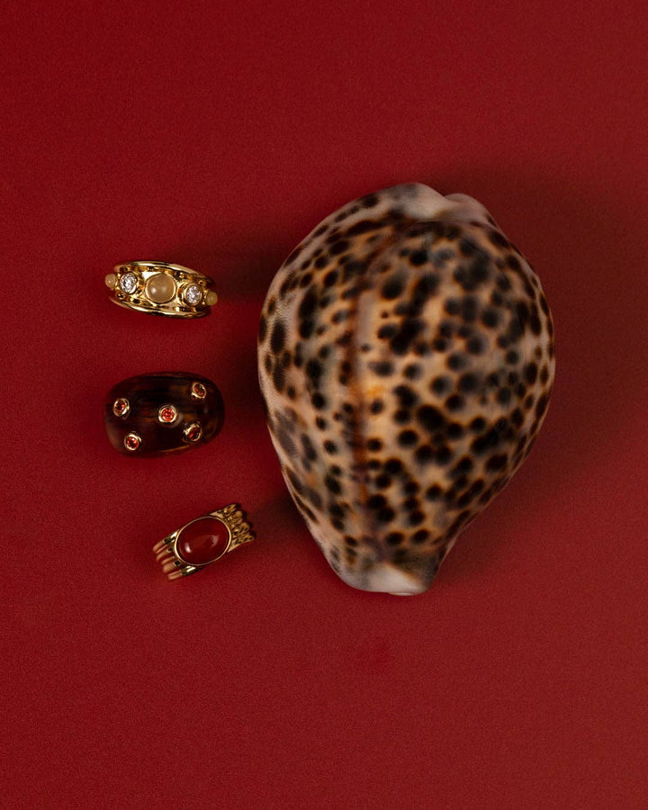 The Ibiza Lucite Ring: 6 - obligato