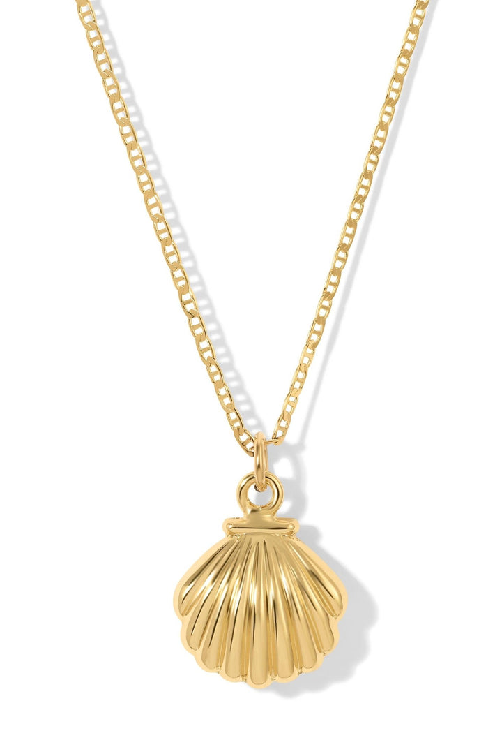The Mini Shell Necklace - obligato